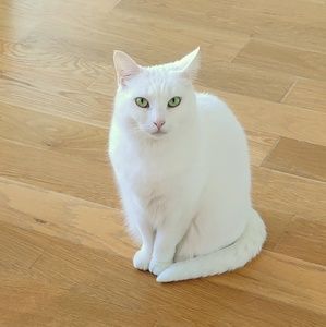 Meet your Posher, Janet